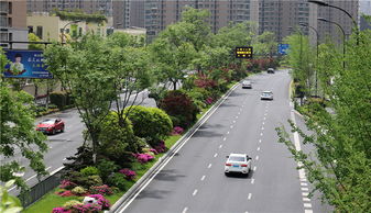 特色蘊于細節，匠心鑄就精品——論綠化工程的卓越之道