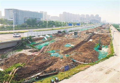 金灣“情侶路”綠化工程加速推進，航展前有望“迎客”