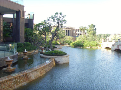 園林綠化工程 從設計到施工，賦能房地產、別墅與工廠景觀