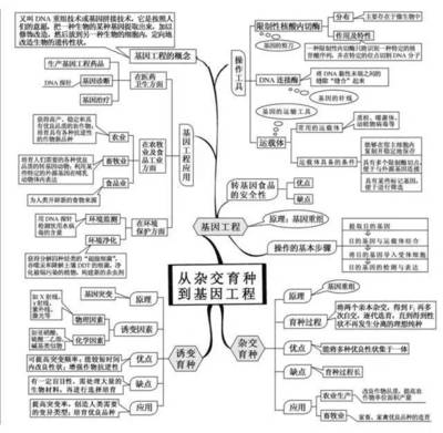 高考生物一輪復習必備知識網(wǎng)絡(luò)導圖 學霸高效策略